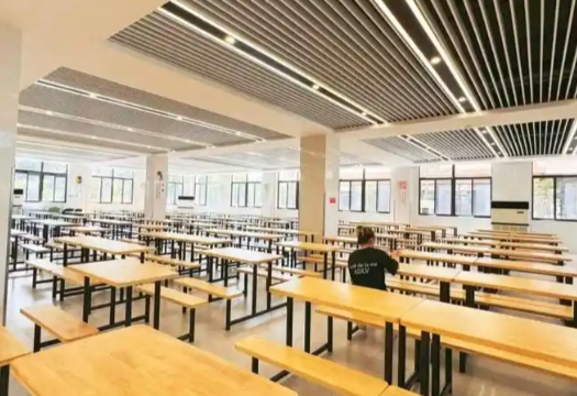 学校食堂运营报表系统：食堂数据自动汇总