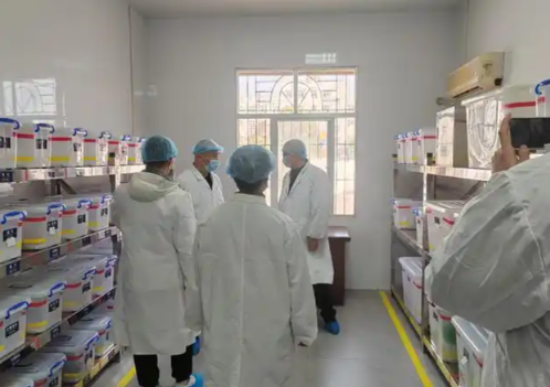 小学食堂明厨亮灶系统｜AI识别后厨违规行为