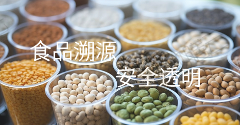 食材追溯怎么做？出问题时快速锁定批次的实战方法