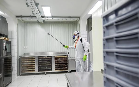 食堂鼠患监测系统：红外感应与影像识别怎么分工