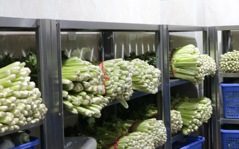 食堂库房管理解决方案：离地存放、分区温控与效期预警